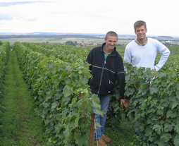 Angilino Maule en visite en Champagne - parcelle des Rachais